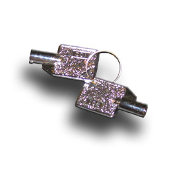 Replacement Key
